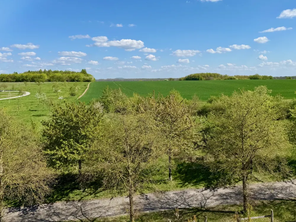 New Development Area Hannover KRONSRODE (A4): Fitted Kitchen, Balcony + Loggia, Daylight Bathroom, Guest WC, Underfloor Heating, Underground Parking