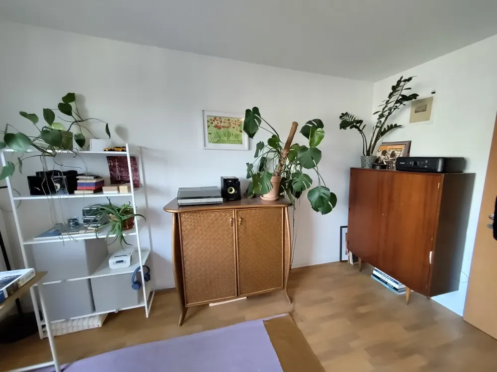 1-Room Apartment in Leipzig Reudnitz-Thonberg