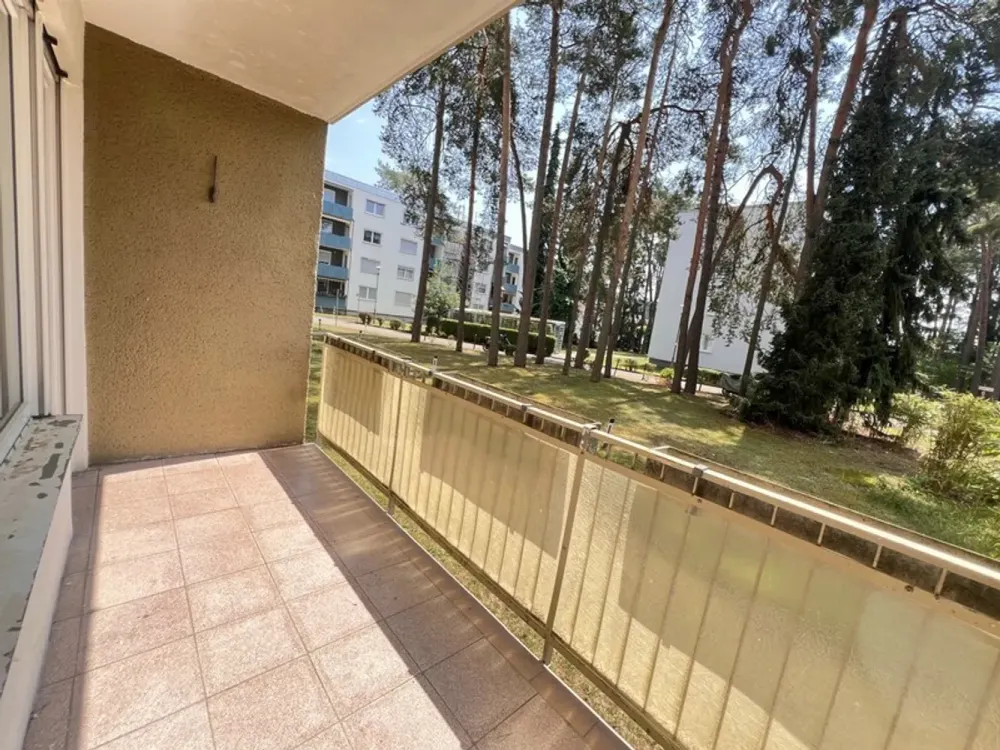 تم تجديده حديثًا! شقة واسعة مكونة من 3 غرف مع شرفة في Röthenbach a. d. Pegnitz