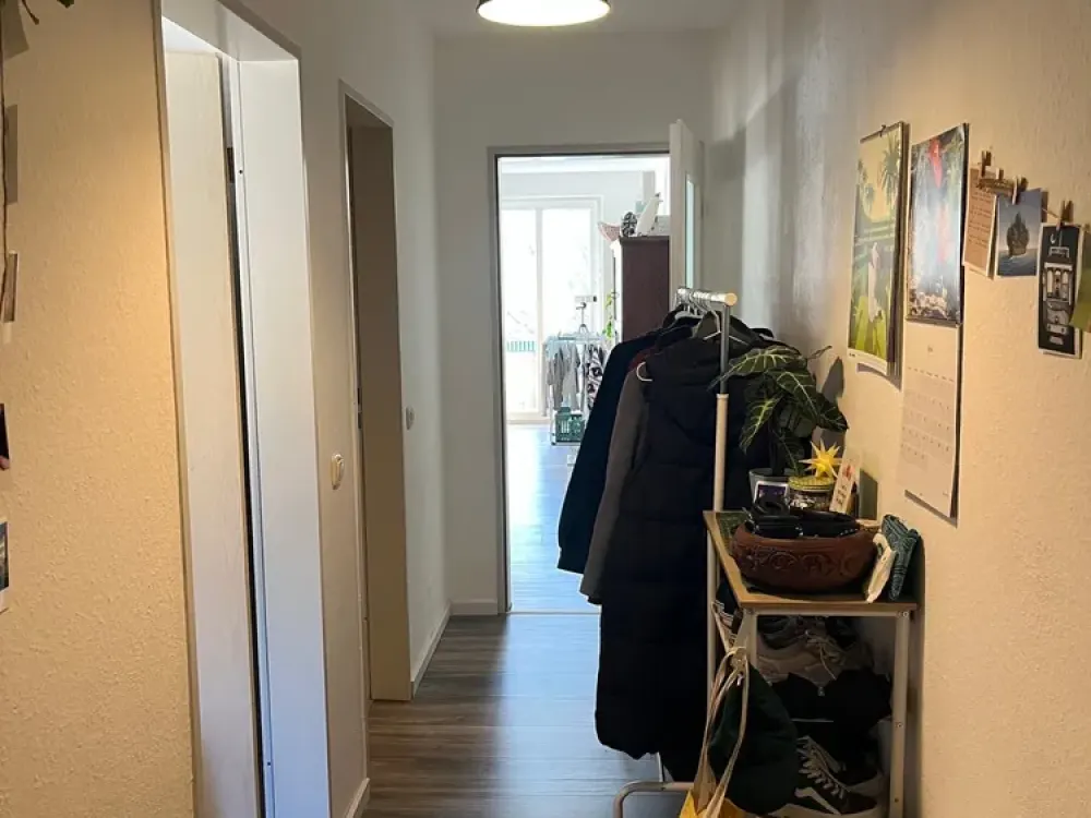 Kassel South: Bright One-Room Apartment with 69 Square Metres