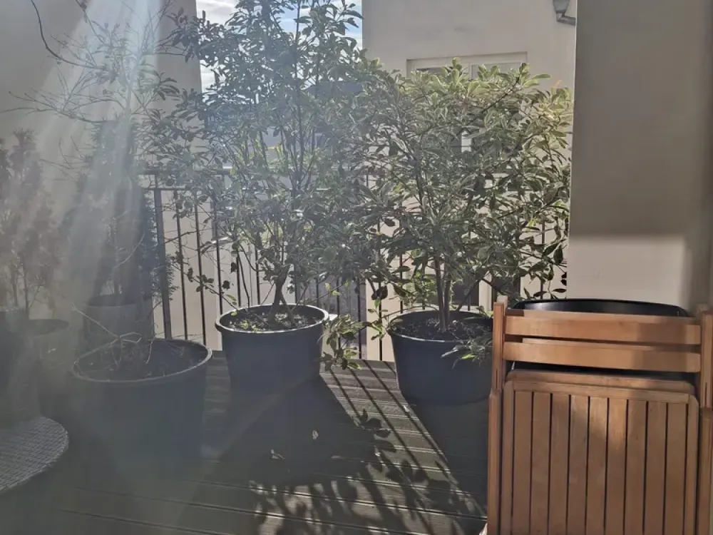 Spacious 2-Room Apartment in Zentrum Ost