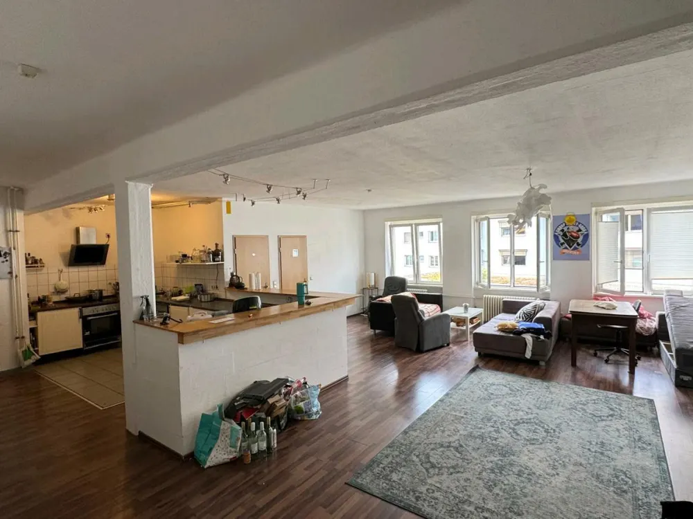 Saarbrücken-City, beautiful large apartment