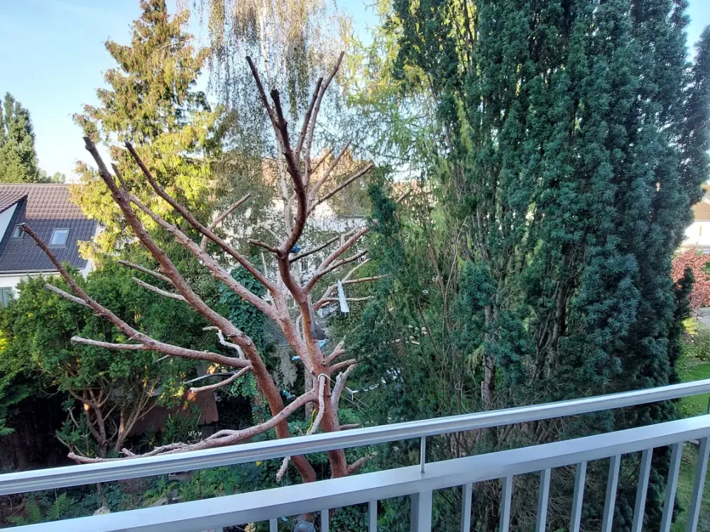 First occupancy after complete renovation, beautiful 3-room apartment in a quiet location