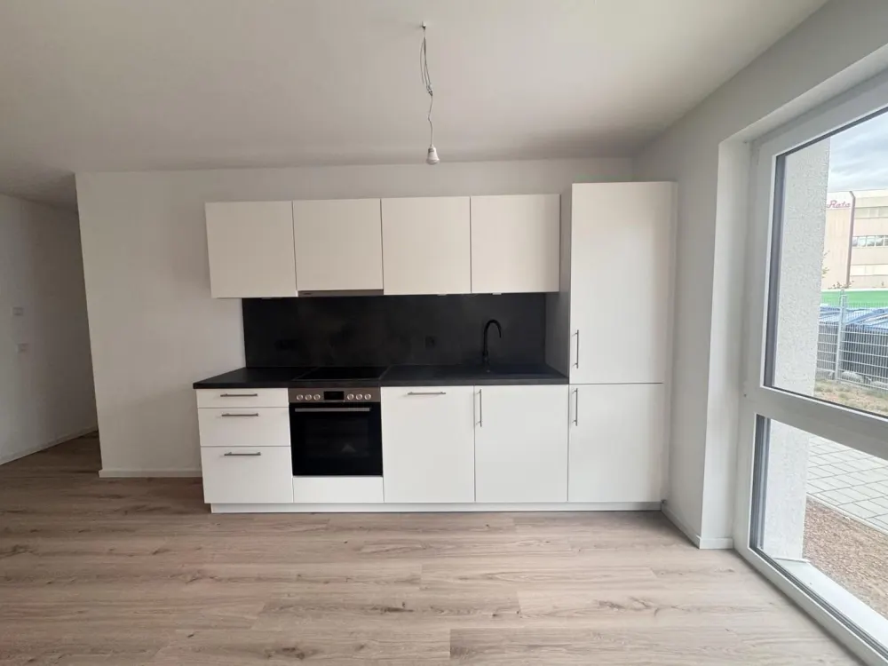 3 Months Rent-Free Large 2-Room Apartment in New Building!