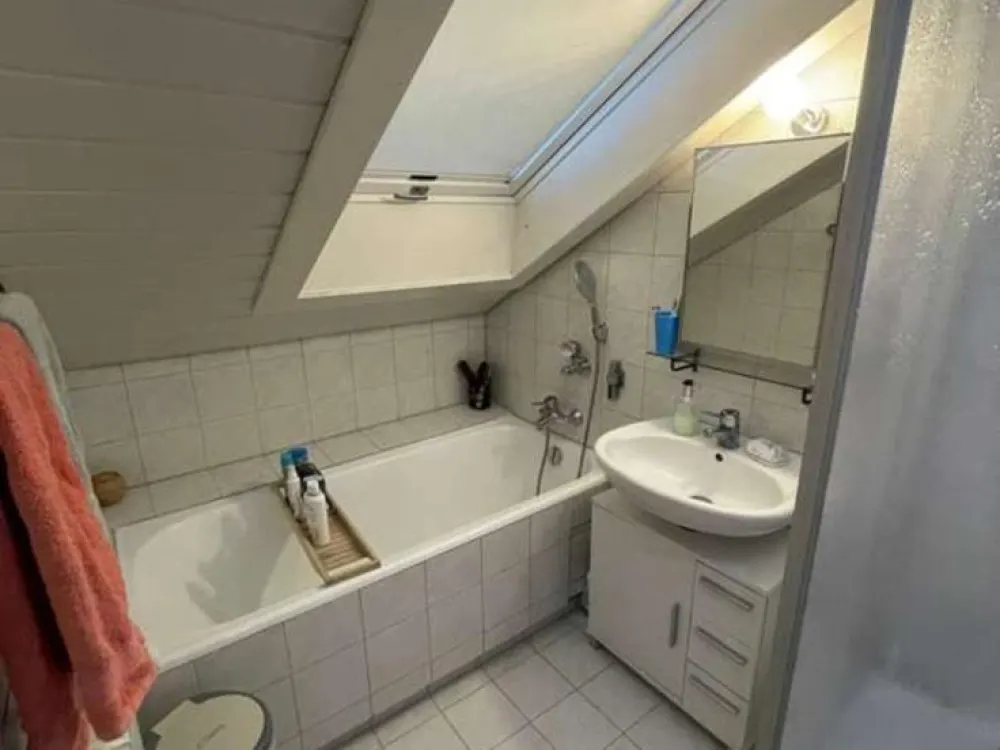 Apartment 3 Rooms Attic