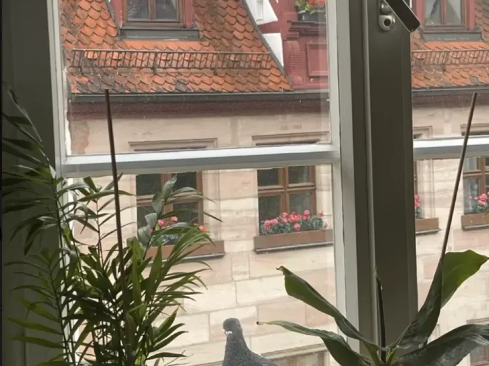 Lively City Life: Spacious Apartment in Nuremberg Old Town