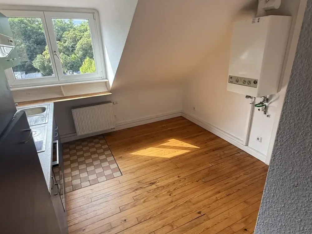 Living with Character: Cozy Attic Apartment (2.5 Rooms, Kitchen, Bathroom), Ideal for Two