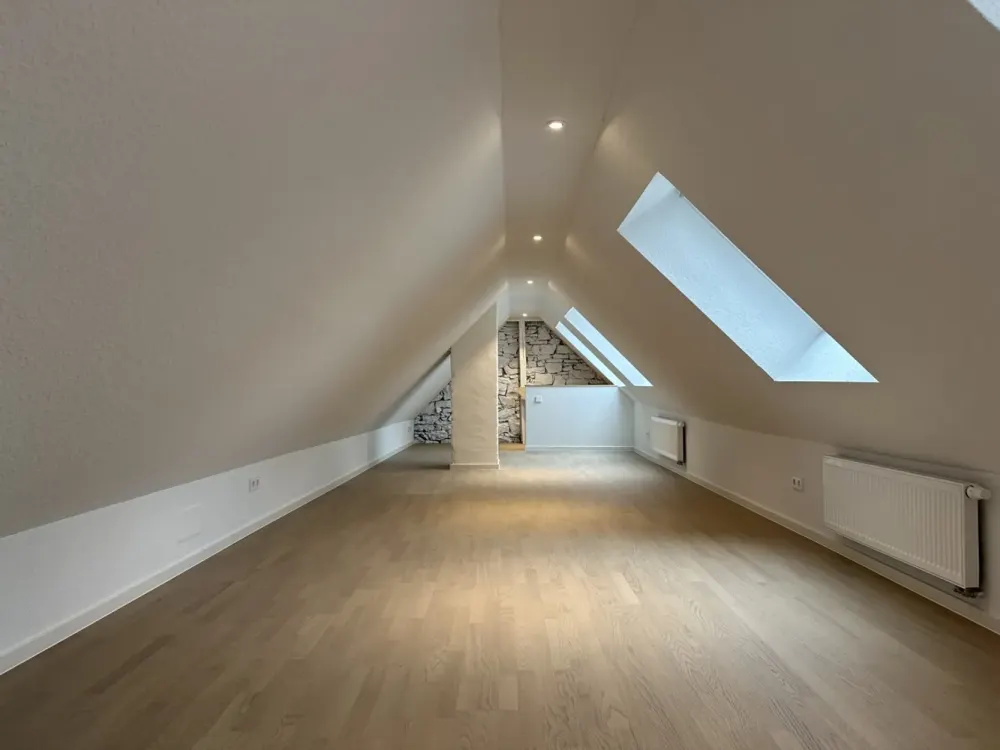 Modernized Old Building Apartment in Prime City Center Location!