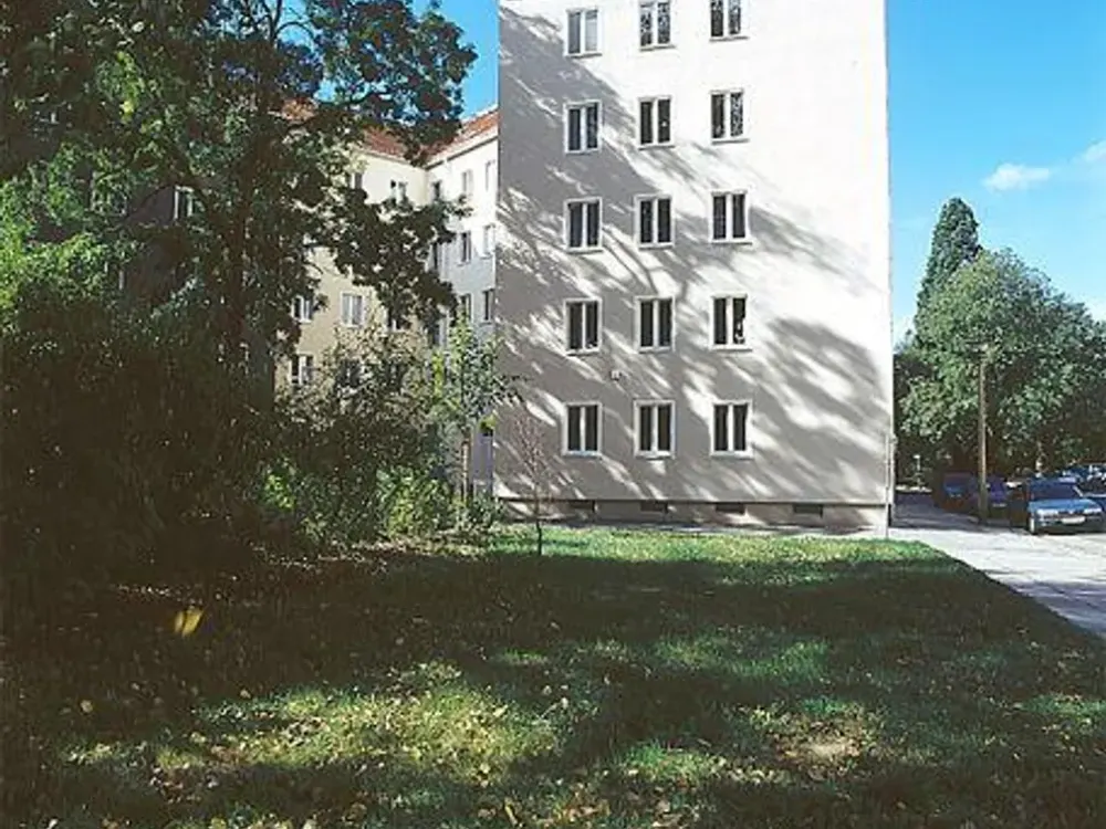 Spacious 2-Room Apartment - in the Heart of Striesen