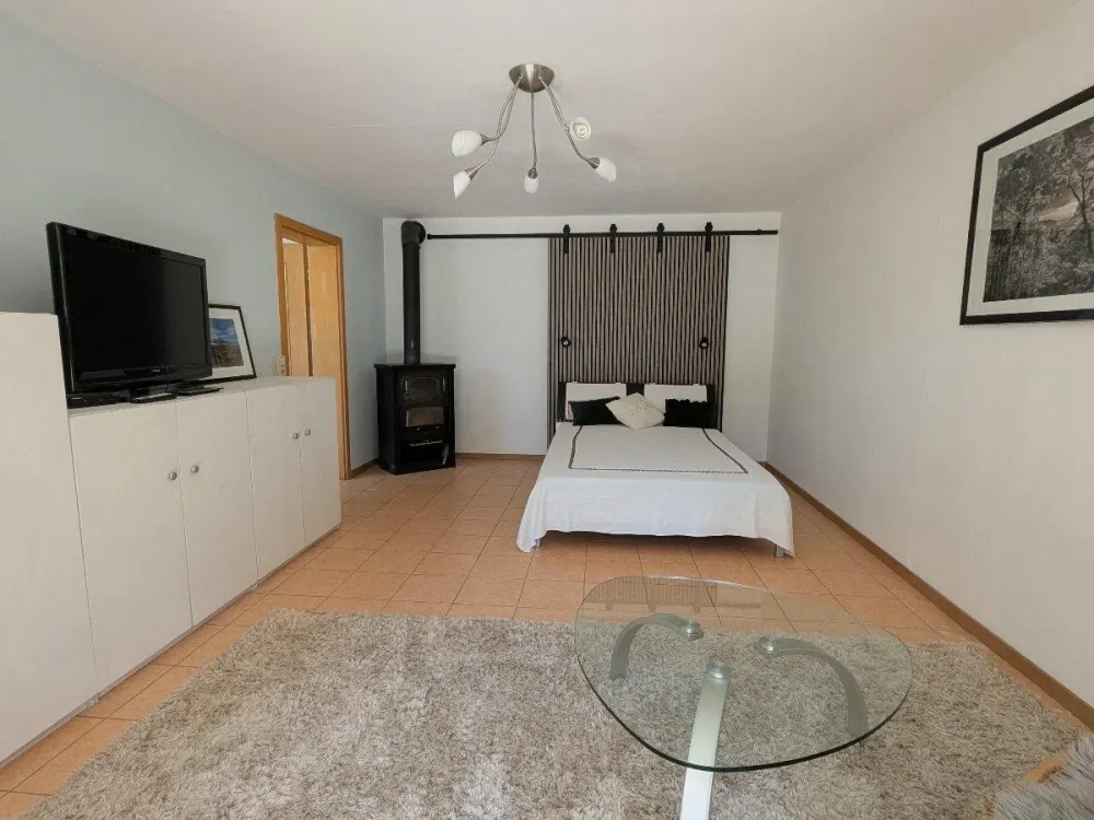 1.5 Room Apartment with Terrace