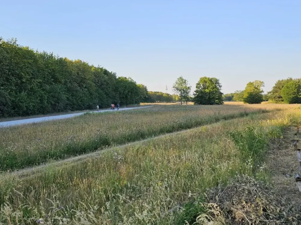Helle und ruhige Gartenwohnung in München-Waldtrudering