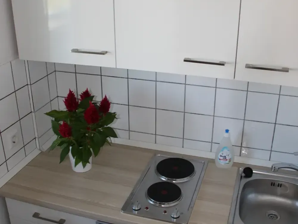 Well-maintained, fully furnished 1-room apartment in Immenstaad (including wallbox)