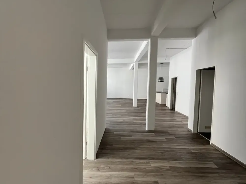 Exclusive 3-Room Loft Apartment with Built-in Kitchen