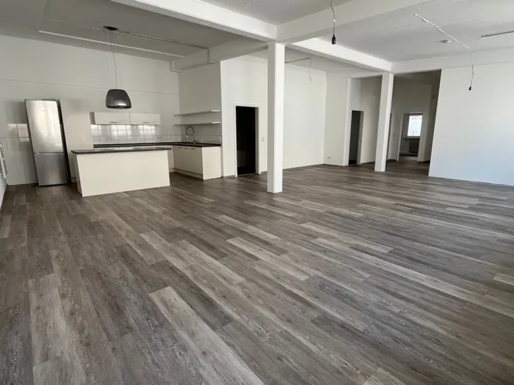 Exclusive 3-Room Loft Apartment with Built-in Kitchen