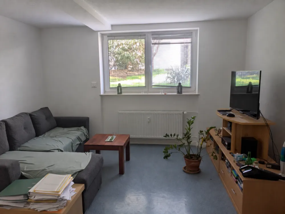 Beautiful 38m2 Apartment (Sous-Terrain) in Oststadt (2 Rooms, Kitchen, Bathroom)