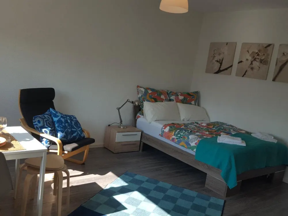 Furnished 1-Room Apartment with Good Connections in Leipzig