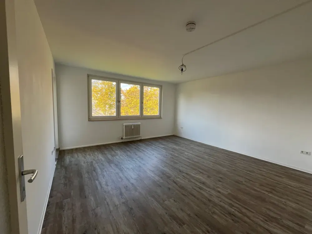 Beautiful 3-Room Apartment Seeks Tenant