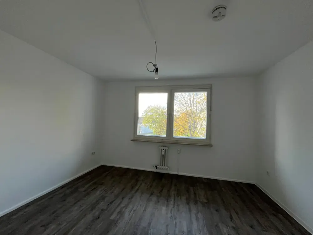 Beautiful 3-Room Apartment Seeks Tenant