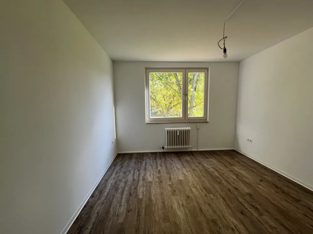 Beautiful 3-Room Apartment Seeks Tenant
