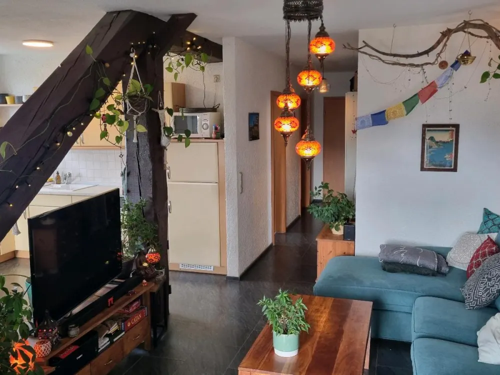 Furnished Apartment Near City Center for Sublease from 02/27 to 01/28