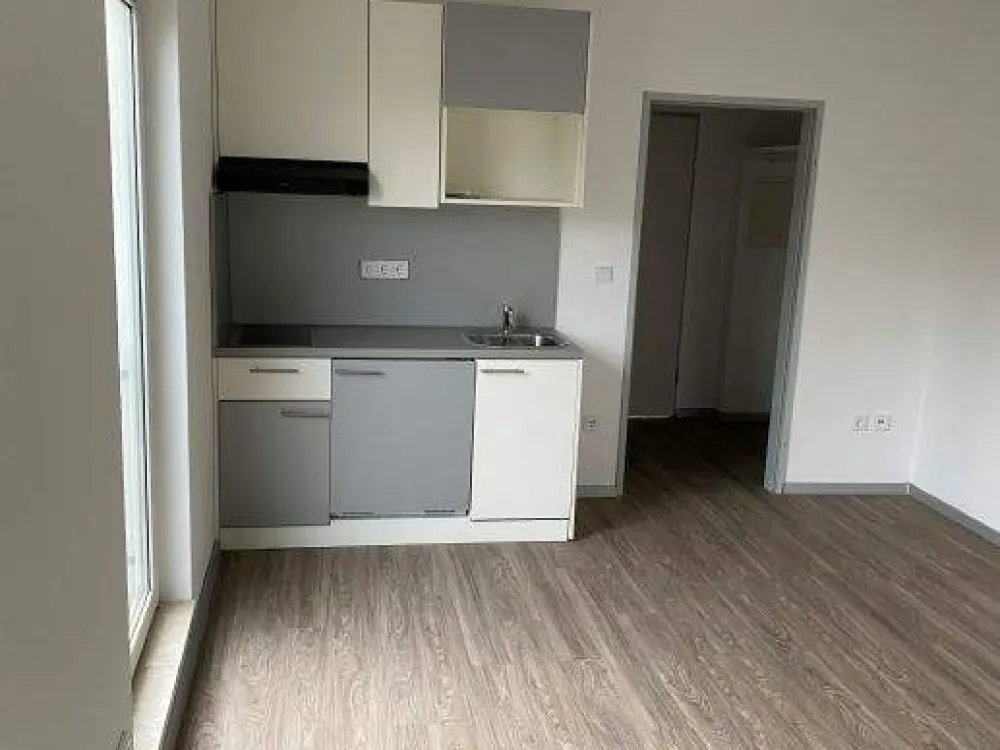 1 room, kitchenette, bathroom, near university