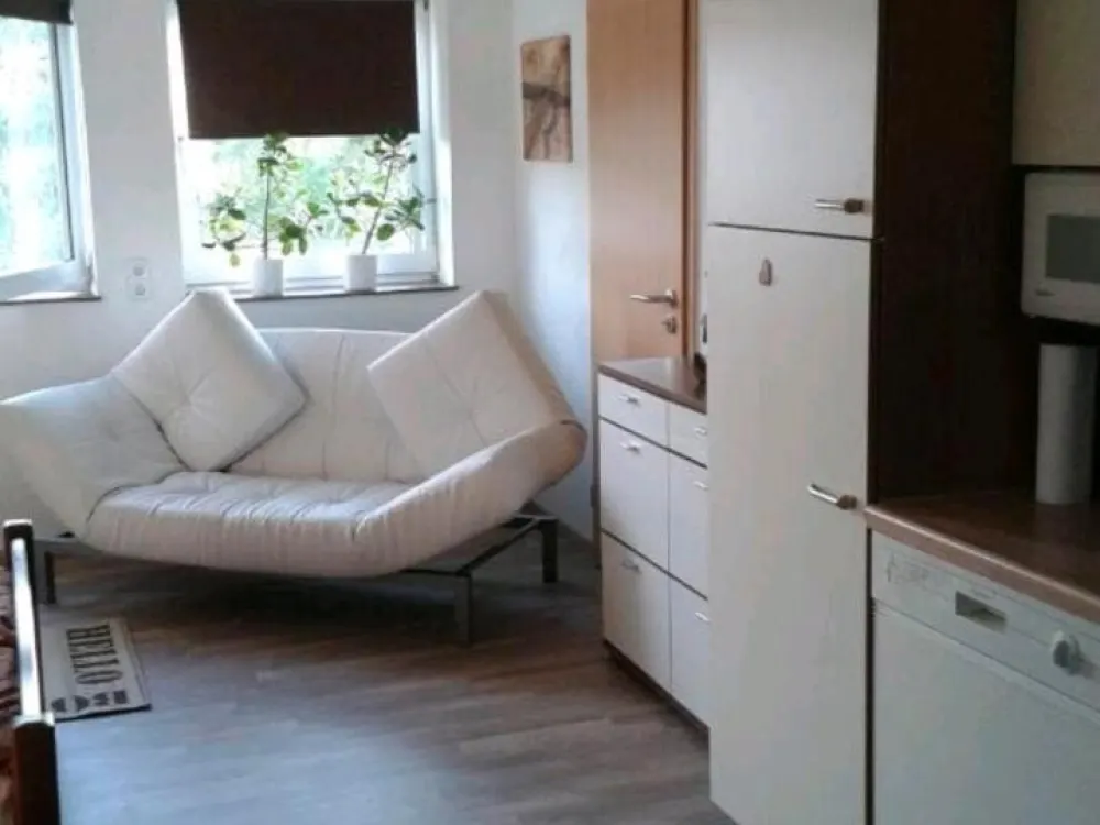 Eineinhalb Zimmer Dachwohnung !