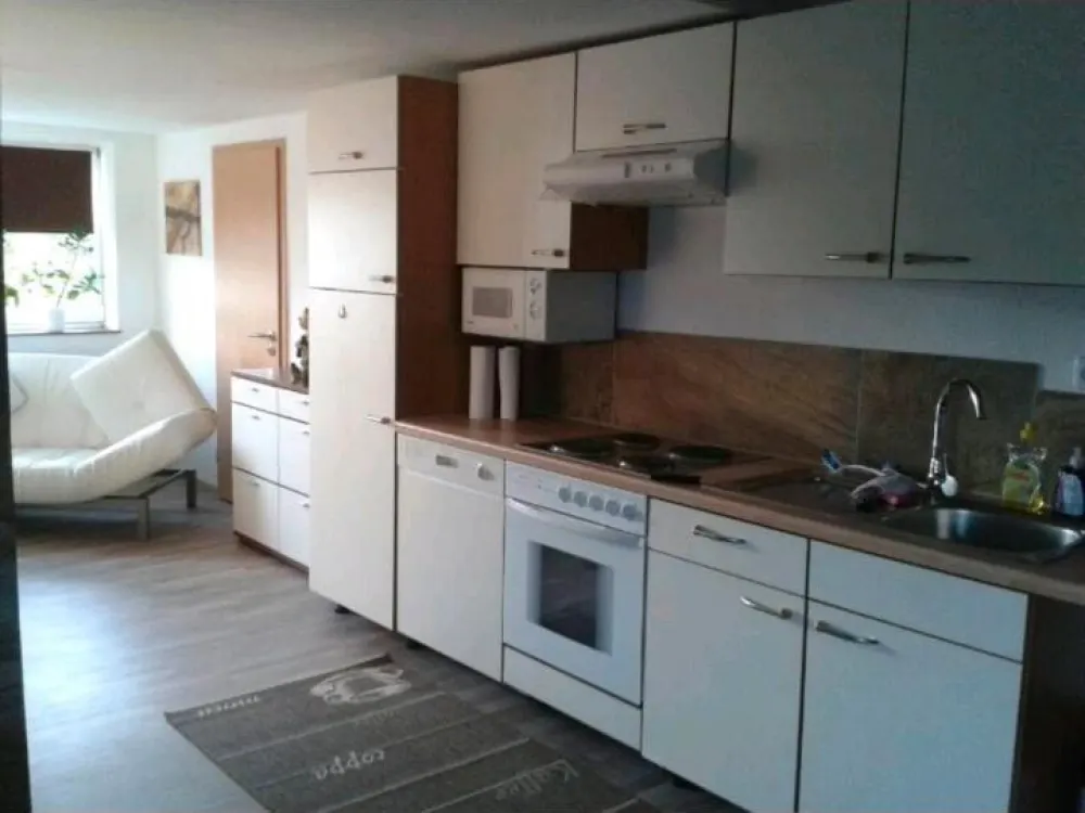 Eineinhalb Zimmer Dachwohnung !