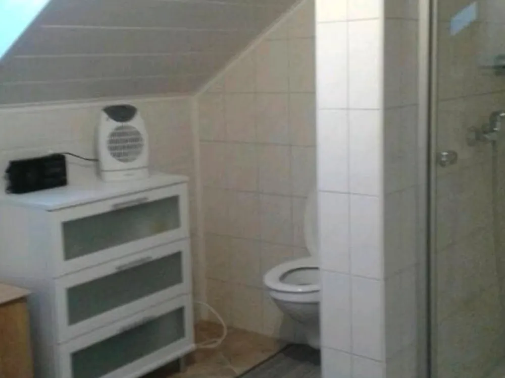 Eineinhalb Zimmer Dachwohnung !