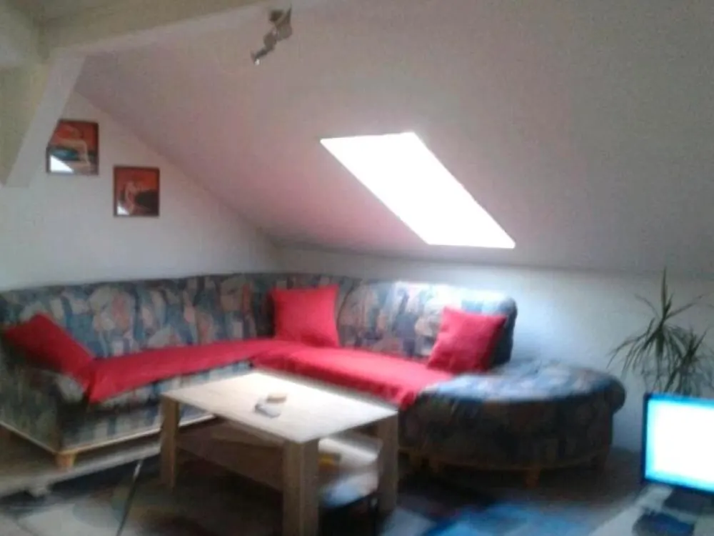 Eineinhalb Zimmer Dachwohnung !