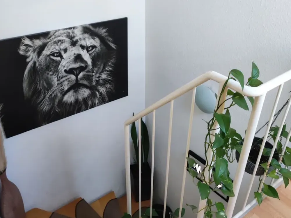 3-Room Maisonette Apartment in Köln-Urbach