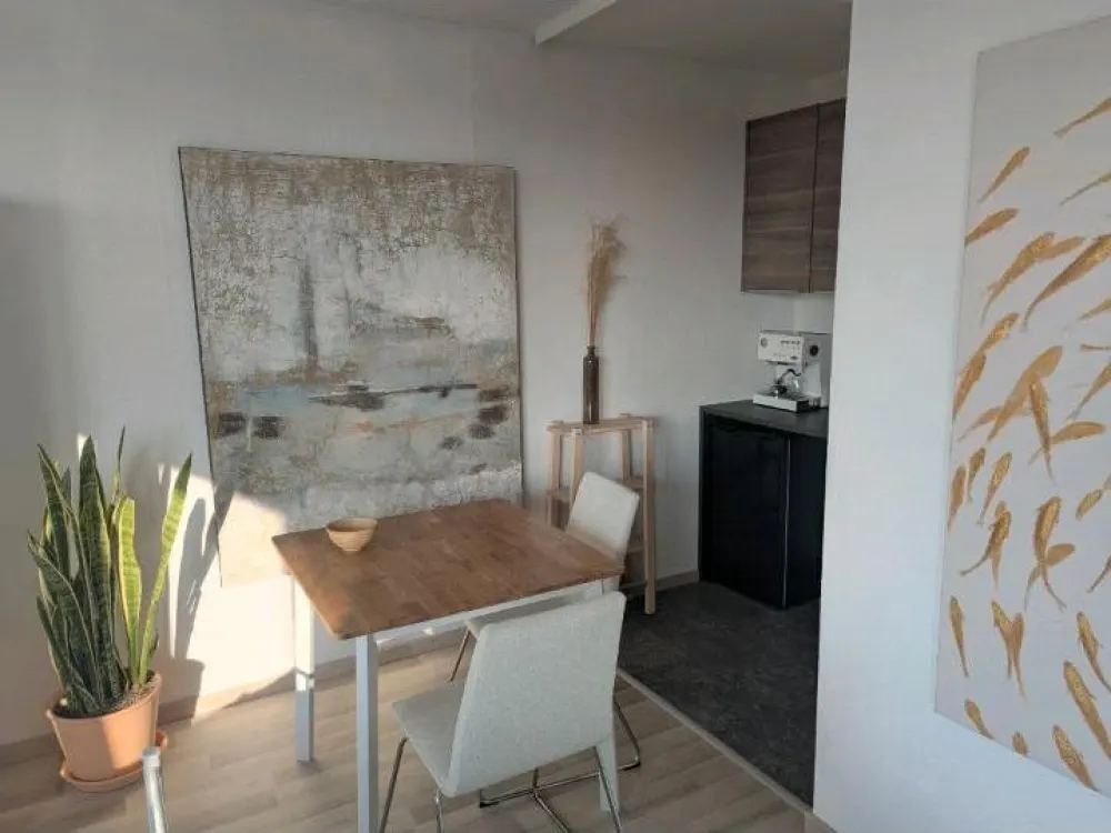 Furnished 1-Room Apartment for Temporary Rent - from 01.11.26 - 750€ including utilities
