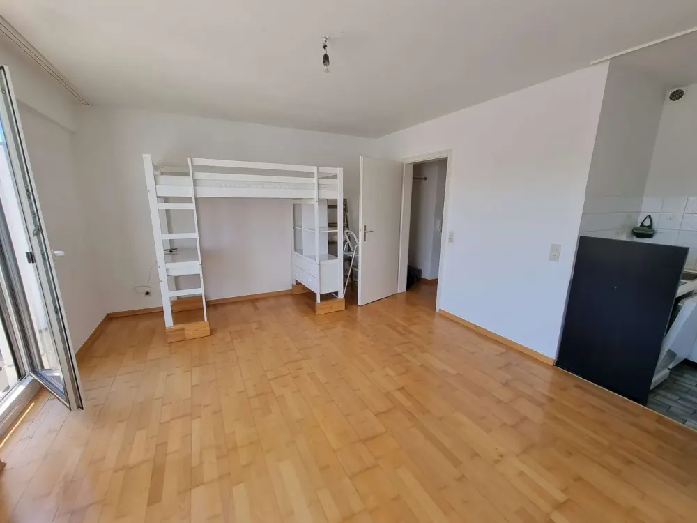 Bright 1-Room Apartment with Balcony