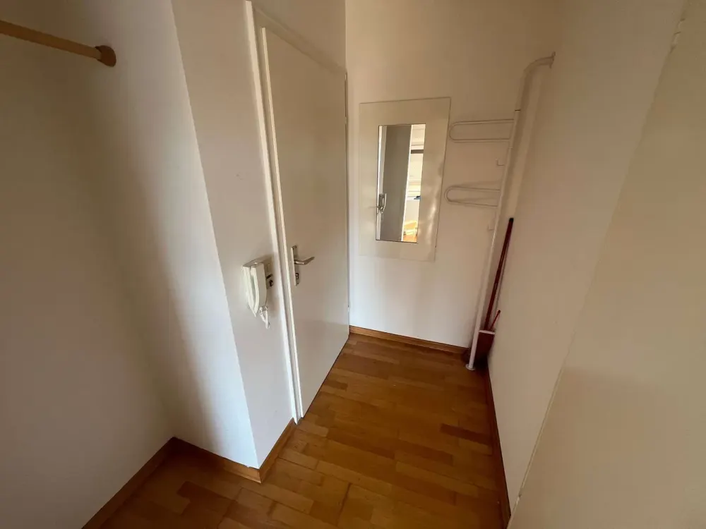 Bright 1-Room Apartment with Balcony
