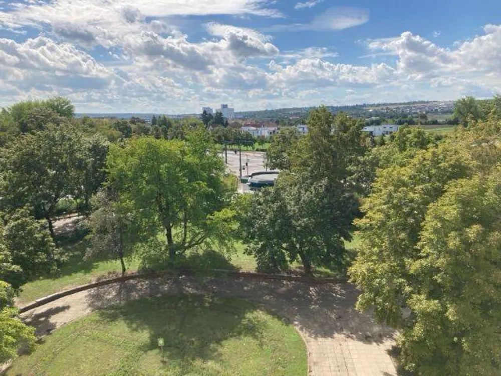 Large Apartment for Your Family!