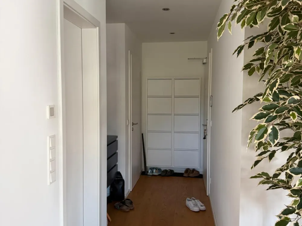 New Tenant Wanted from End of November, 4 Rooms