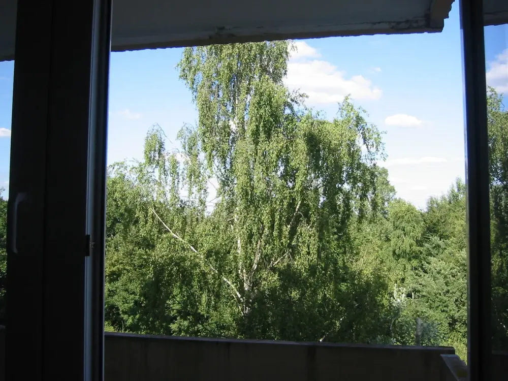 Nice 1-Room Apartment for Rent