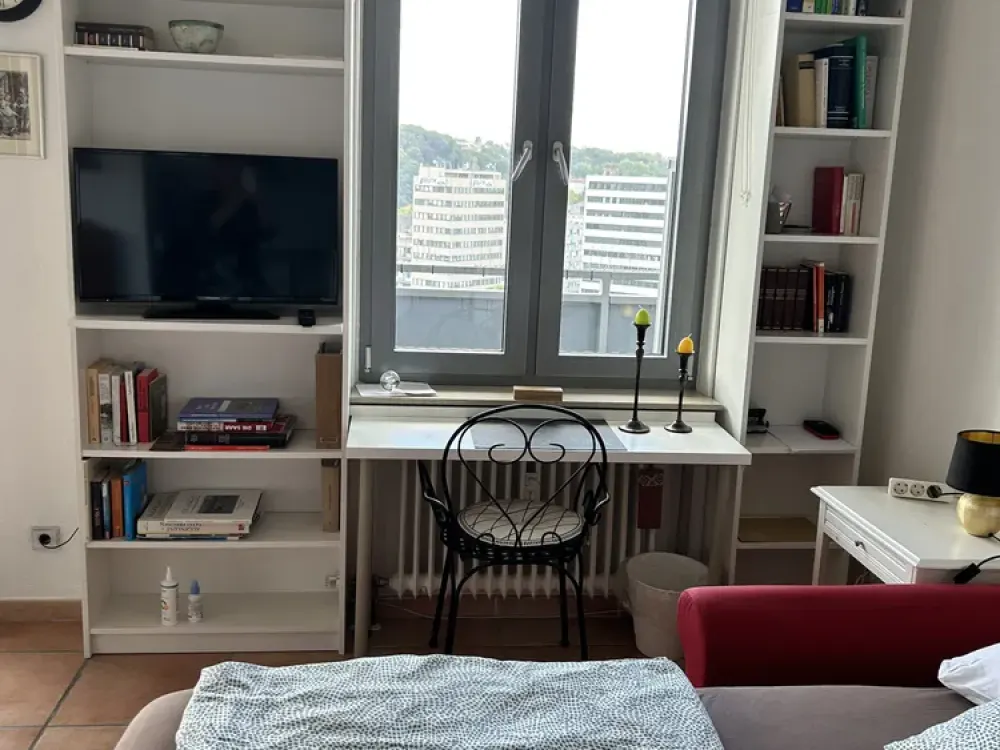 Chic Furnished Suite in Saarbrücken