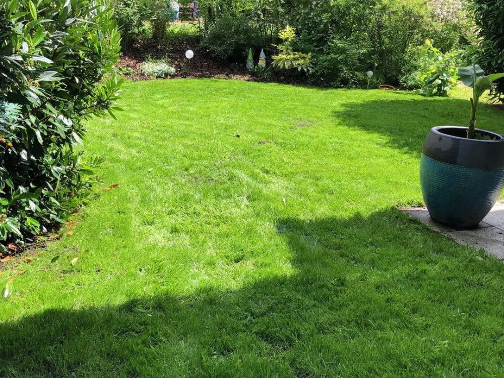 Moderne 2-Zimmer-Wohnung mit exklusivem Garten & Garage