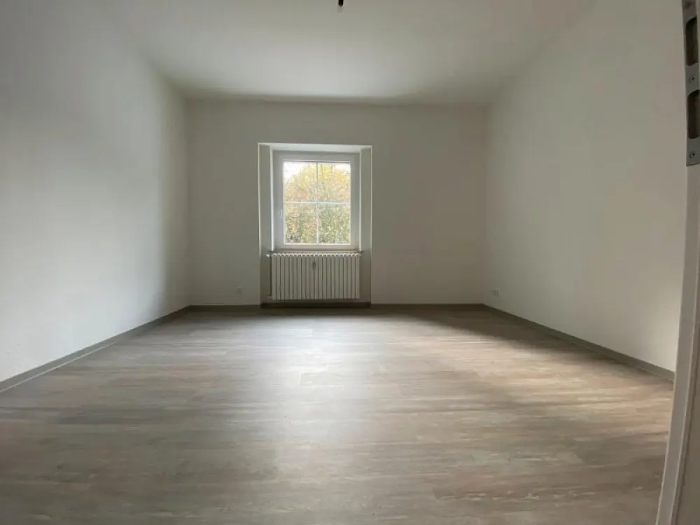 Freshly Renovated 2-Room Apartment on the Edge of the Forest