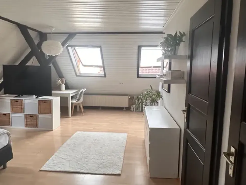 Home with 1.5 Rooms Above the Roofs of Stuttgart South