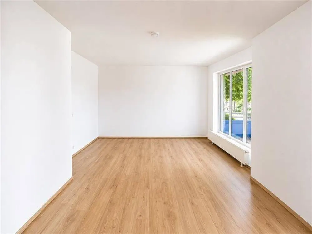 NUR MIT WOHNBERECHTIGUNGSSCHEIN FÜR DEN 1. FÖRDERWEG - Wilhelmsburg ruft!