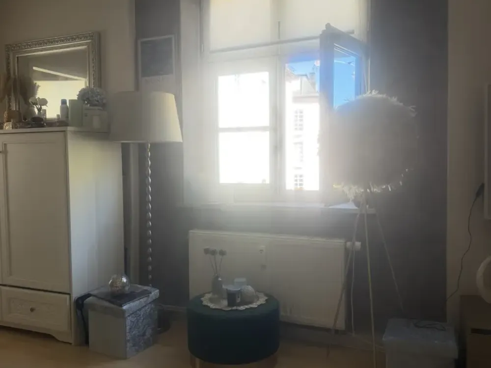 For 14 days during Oktoberfest, 2-room apartment at Schwanthalerhöhe for the duration of Oktoberfest