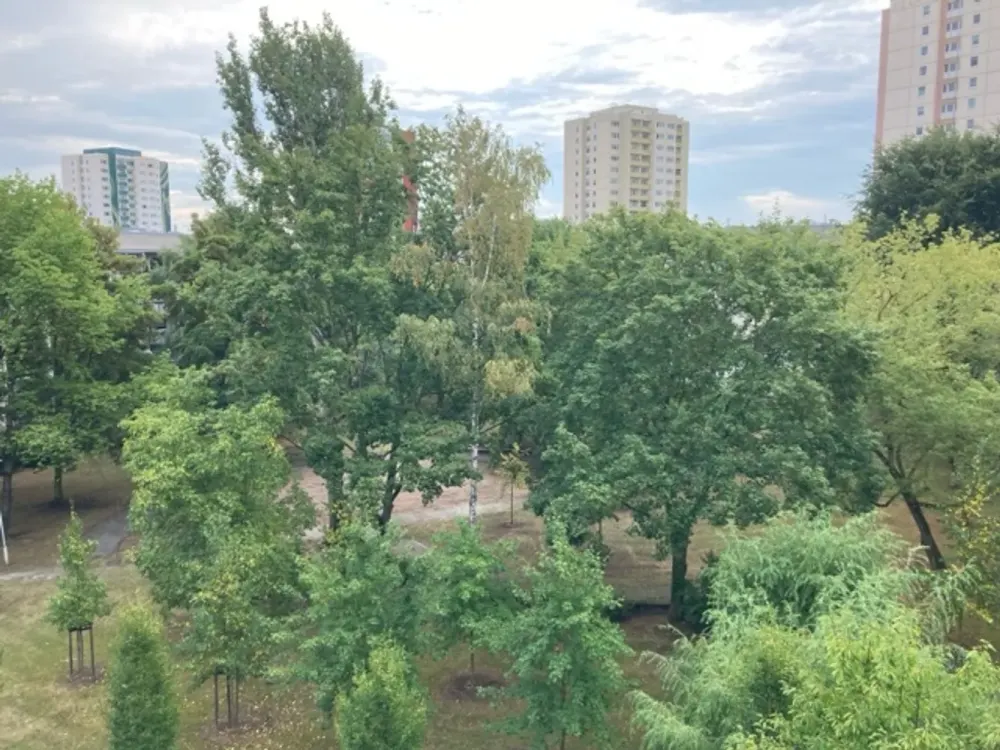 Great Apartment in Popular Location