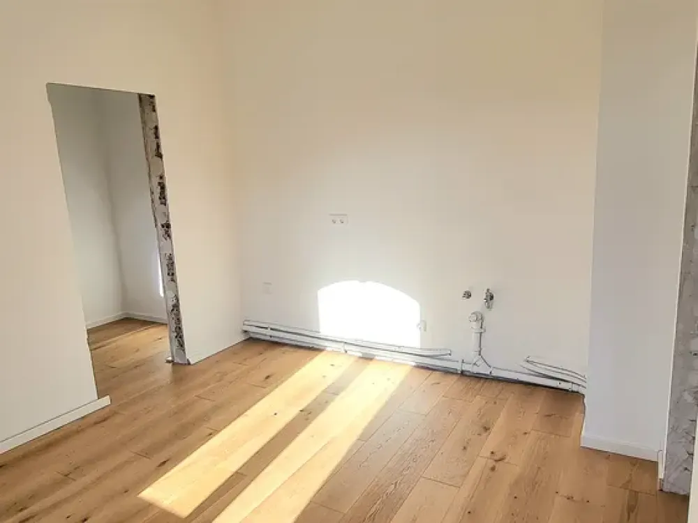 Fully Renovated Art Nouveau Apartment in Prime Location in Oststadt
