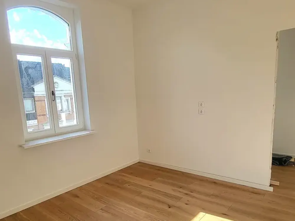 Fully Renovated Art Nouveau Apartment in Prime Location in Oststadt
