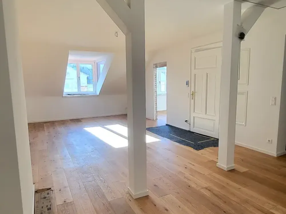 Fully Renovated Art Nouveau Apartment in Prime Location in Oststadt