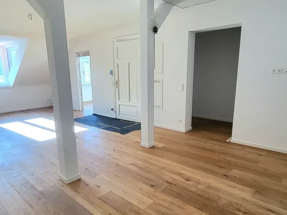 Fully Renovated Art Nouveau Apartment in Prime Location in Oststadt