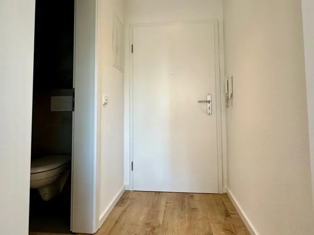 Modernisiertes 1-Zimmer-Apartment in Fürth