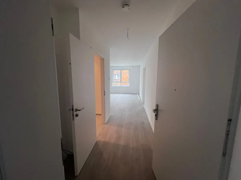 Newly Built Ground Floor Apartment Next to the Abbey