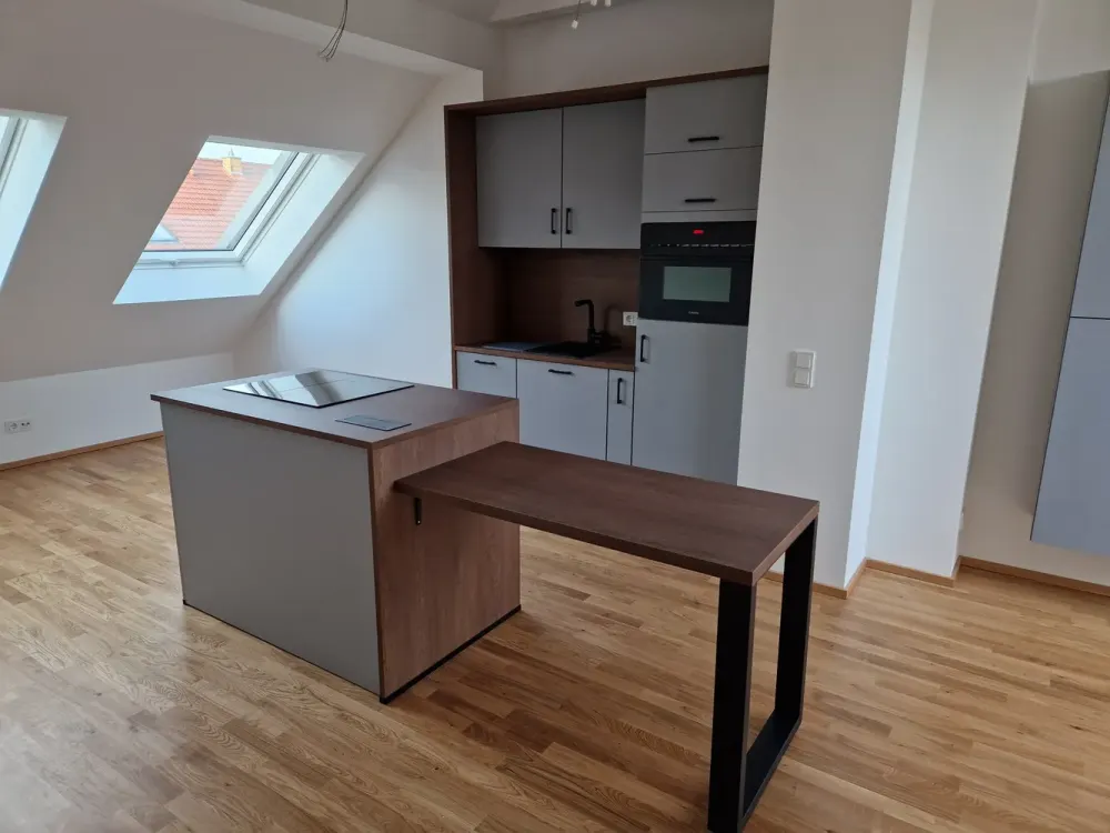 High-quality renovated apartment with fitted kitchen and roof terrace, first occupancy after renovation, WE11